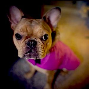 Meet your Posher, Lisa Diane